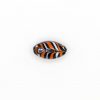 LAMP GLASS BEADS - OVAL SHAPED - FEATHERED WITH MURRINAS - SHINE FINISH